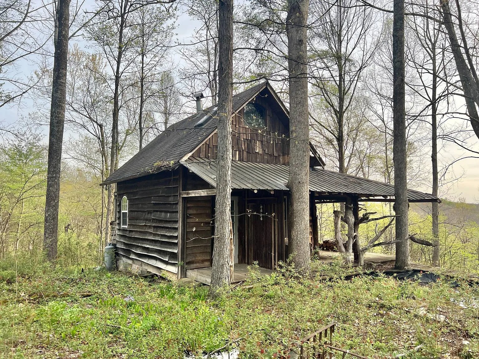 Blog Image